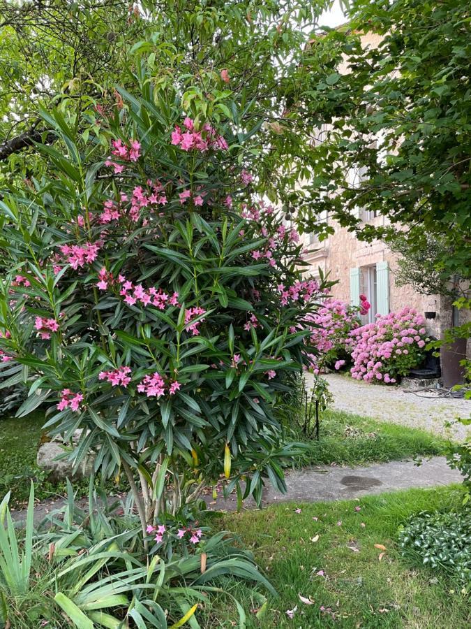 La Maison D'Hortense Et Lili Allemans Экстерьер фото